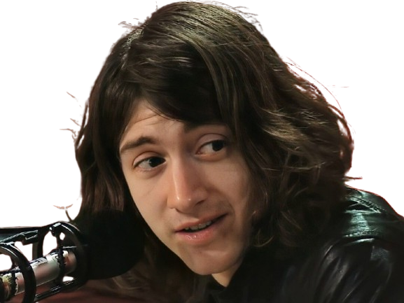 alex turner arctic monkeys the last shadow puppets musicien chanteur guitariste rock inde britannique