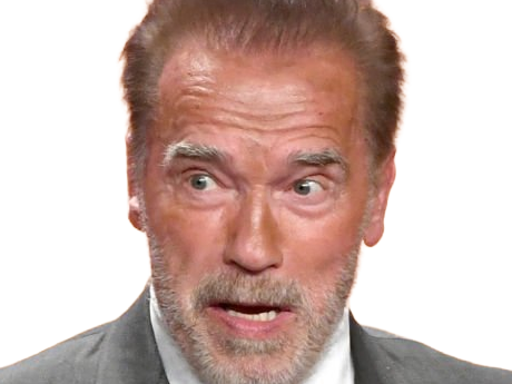 Sticker arnold alois schwarzenegger schwarzy culturiste acteur realisateur producteur cinema homme politique autrichien americain septuagenaire septantaine par Dark-63