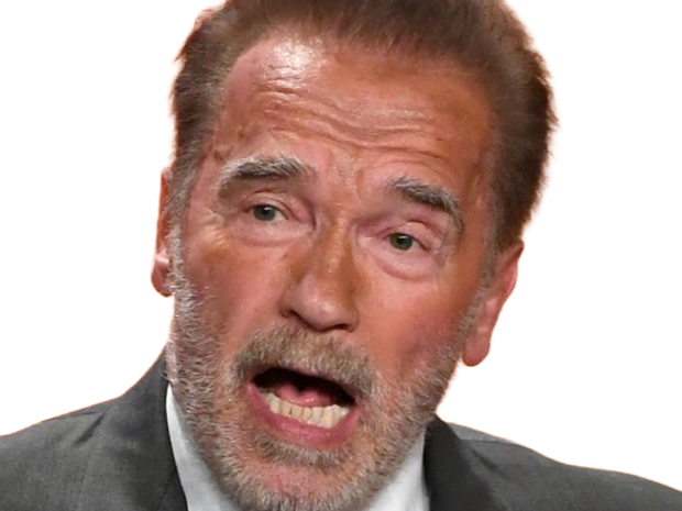 arnold alois schwarzenegger schwarzy culturiste acteur realisateur producteur cinema homme politique autrichien americain septuagenaire septantaine