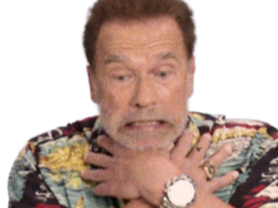 arnold alois schwarzenegger schwarzy culturiste acteur realisateur producteur cinema homme politique autrichien americain septuagenaire septantaine