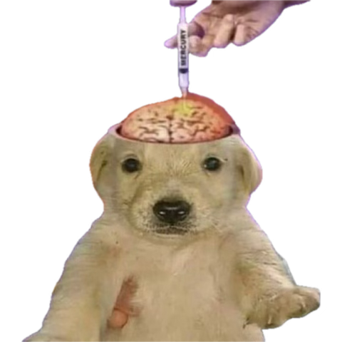 chien dosed vaccin golem lemgo