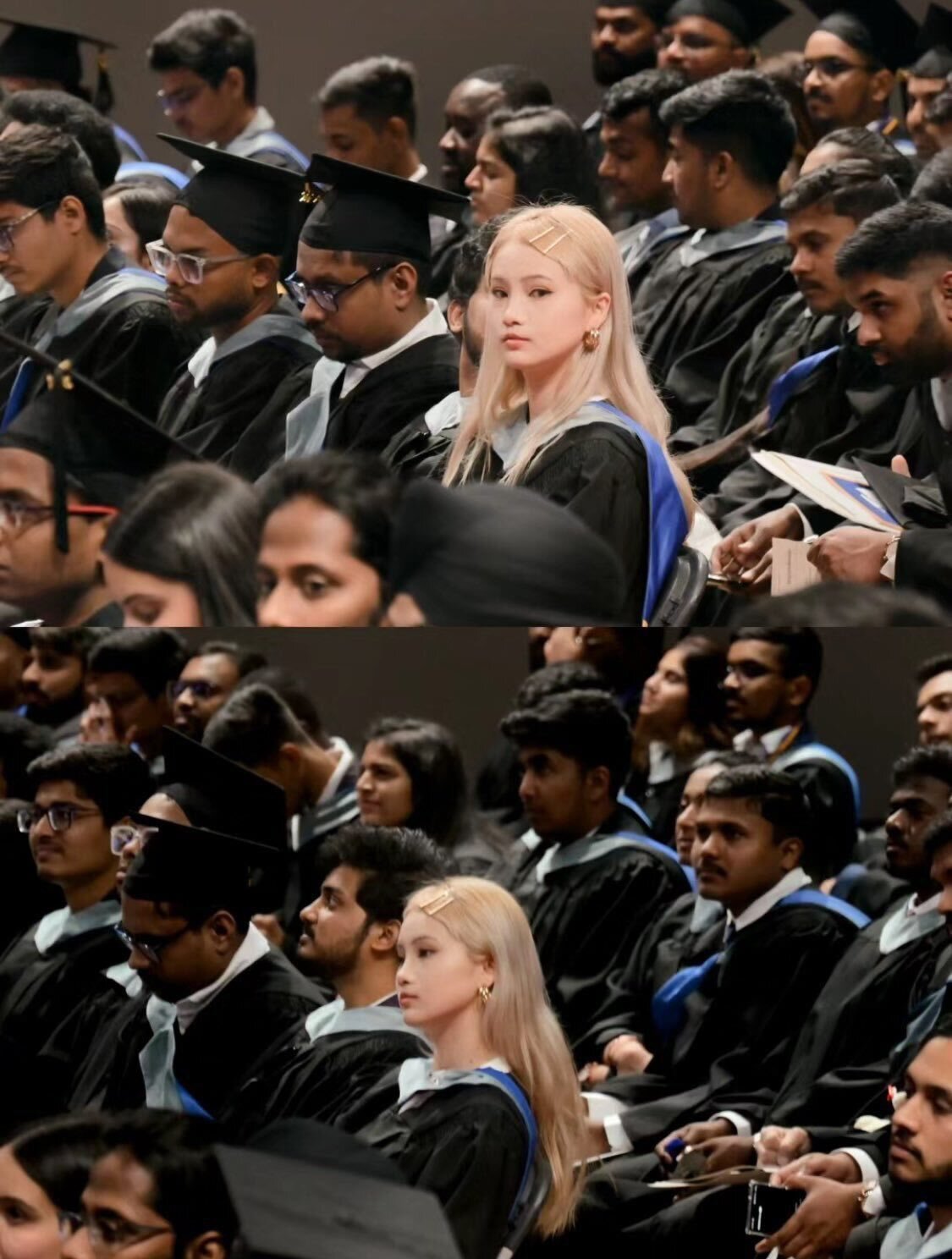 glandilus alloc caf parasite gred sait cotise rsa slave tlm taf job remplace taxe immigre