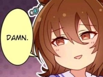 uma musume umamusume agnes tachyon damn cheval horse comic