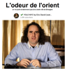 youtube-orient-odeur-marron-migrant-menteur-cannibale-prepuce-coupe