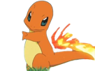 salameche-charmander-hitokage-pokemon-pkm-jeu-anime-type-feu-1g-kanto-starter-lezard