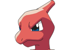 reptincel-charmeleonlizardo-pokemon-pkm-jeu-anime-type-feu-1g-kanto-starter-lezard-flamme-charmeleon-lizardo