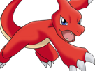 reptincel-charmeleonlizardo-pokemon-pkm-jeu-anime-type-feu-1g-kanto-starter-lezard-flamme-charmeleon-lizardo