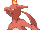 reptincel-charmeleonlizardo-pokemon-pkm-jeu-anime-type-feu-1g-kanto-starter-lezard-flamme-charmeleon-lizardo