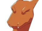 dracaufeu-charizard-lizardon-pokemon-pkm-jeu-anime-type-feu-vol-1g-kanto-starter-lezard-flamme