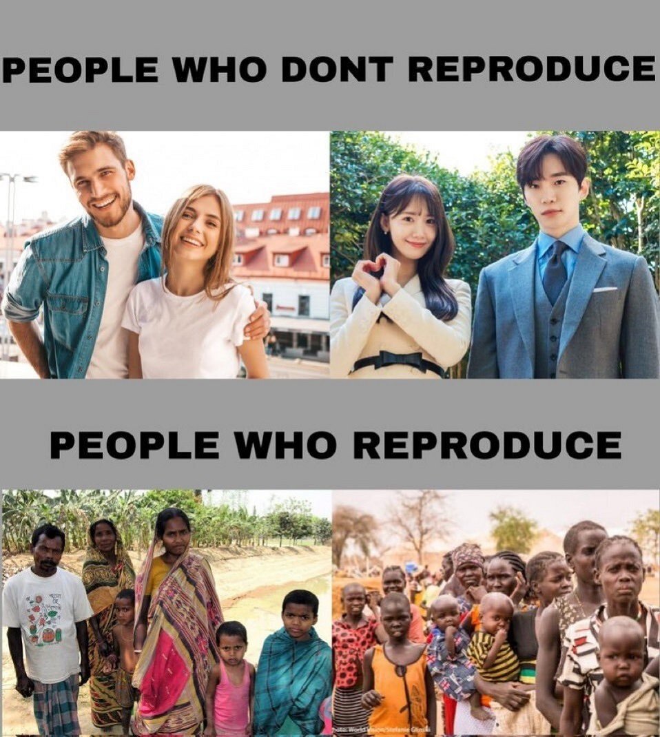 glandilus alloc caf parasite gred sait cotise rsa slave tlm taf job remplace taxe immigre