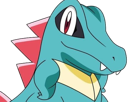 kaiminus-totodile-waninoko-pokemon-pkm-jeu-anime-type-eau-2g-johto-starter-machoire