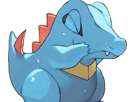 kaiminus-totodile-waninoko-pokemon-pkm-jeu-anime-type-eau-2g-johto-starter-machoire
