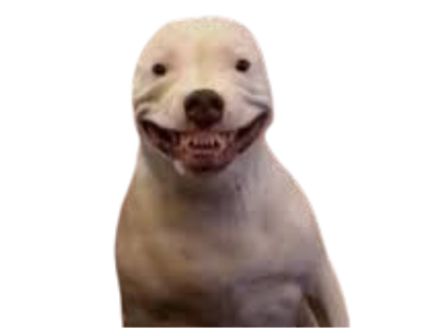 chien y veu joue sourire demoniaque