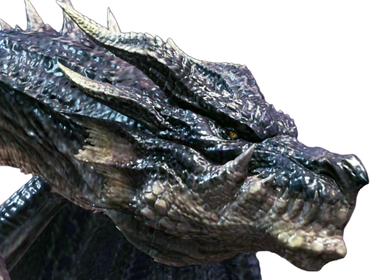 fatalis noir monster hunter world iceborne 5 dragon gros feu flammes schrade chateau castle moupe