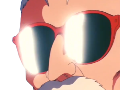 tortue geniale mutenroshi kame sama lunettes soleil pervers