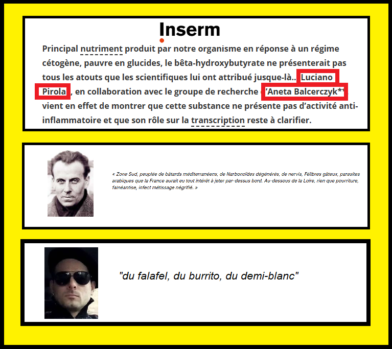 ferdinand celine sc88 saint claude narbo narbonoides sciences partout hasard