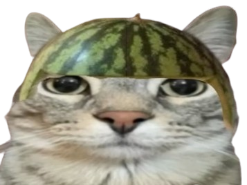 chat cat melon pasteque chapeau ent bro
