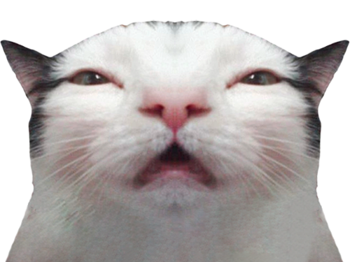 chat what miroir superheros