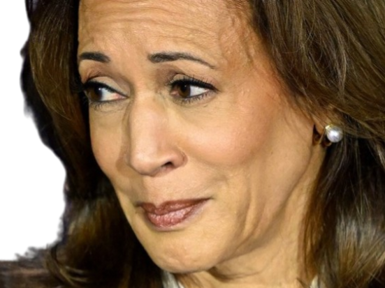 kamala harris candidate democrate 2024 2028 biden usa vice-presidente etats-unis ew degout yeux regard knifos