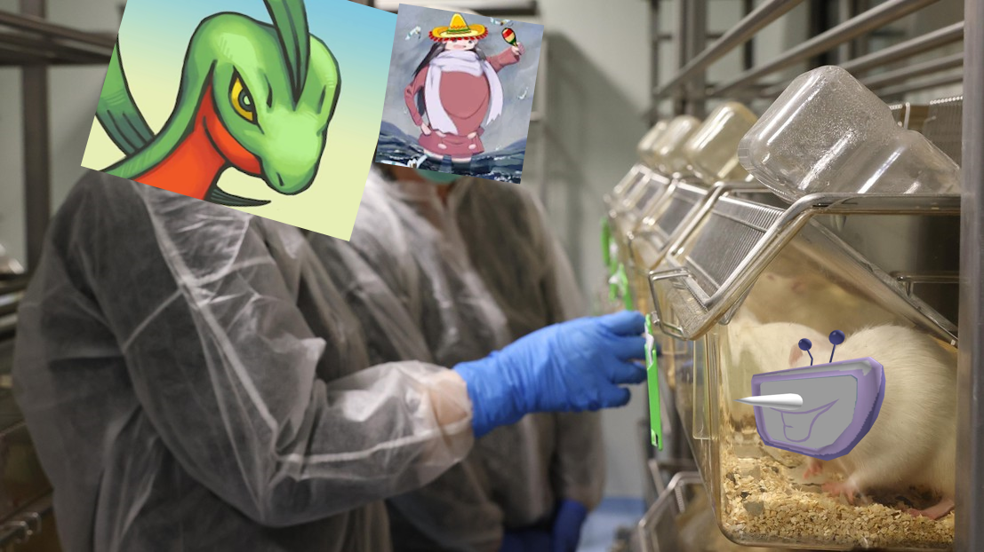 massko fic rat social experience labo