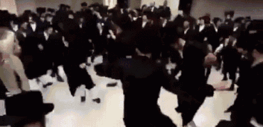 israel israelien rabbi rabbin juif judoka youpin talmud dance danse gif benzemonstre