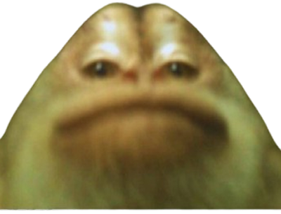 animaux singe singed merci merciatoi