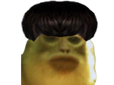 singe cheveux macaque merci merciatoi