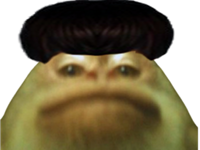 singe cheveux macaque merci merciatoi