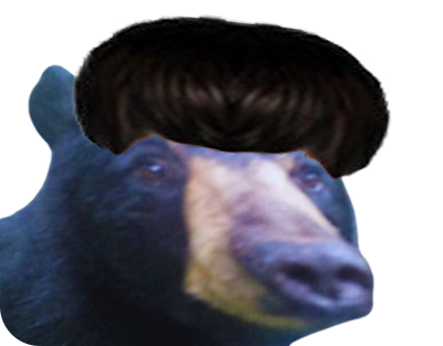 merci merciatoi ours thankyou