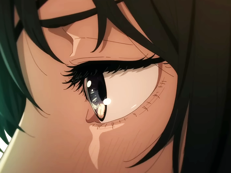 himeno chainsaw man anime manga borgne femme devil hunter securite publique 4e section speciale anti-demons