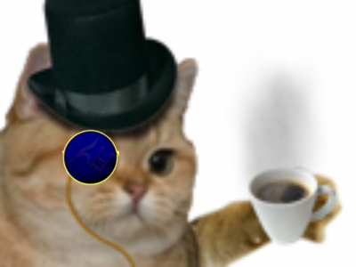 tranquille monocle bleu lunette riche noble chat boit roux cafe oeil boisson parisien snob