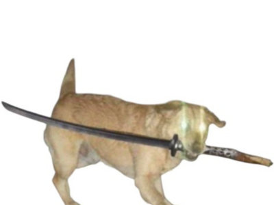 chien labrador katana epee sabre gentil selection naturelle mechant