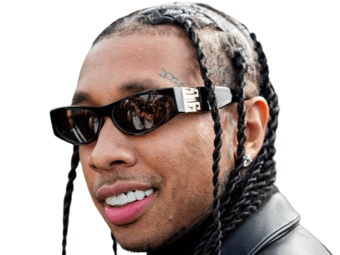 tyga rap rappeur americain us sourire narquois fier flex moquerie troll chambrage