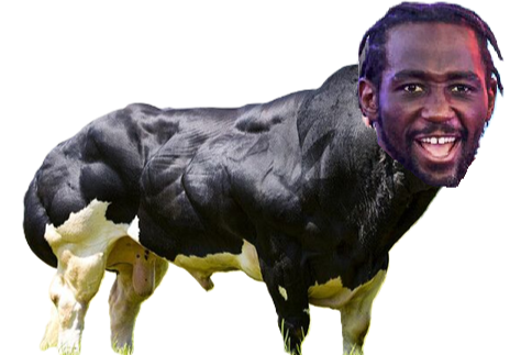 crawford bull steroid