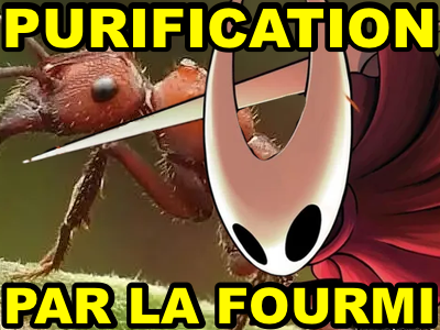 hollow knight silksong hornet purification par la fourmi