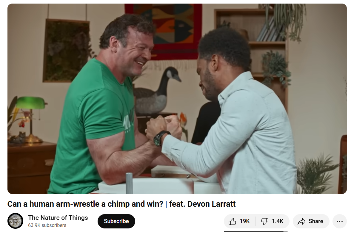 devon larratt bras de fer arm wrest chimpanze