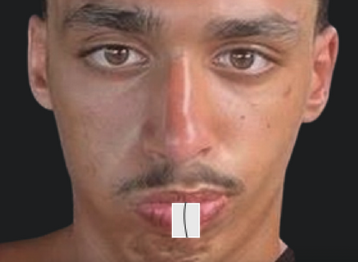 jp pormanove celestin safine safin owen lokal rongeur qlf racaille hamster