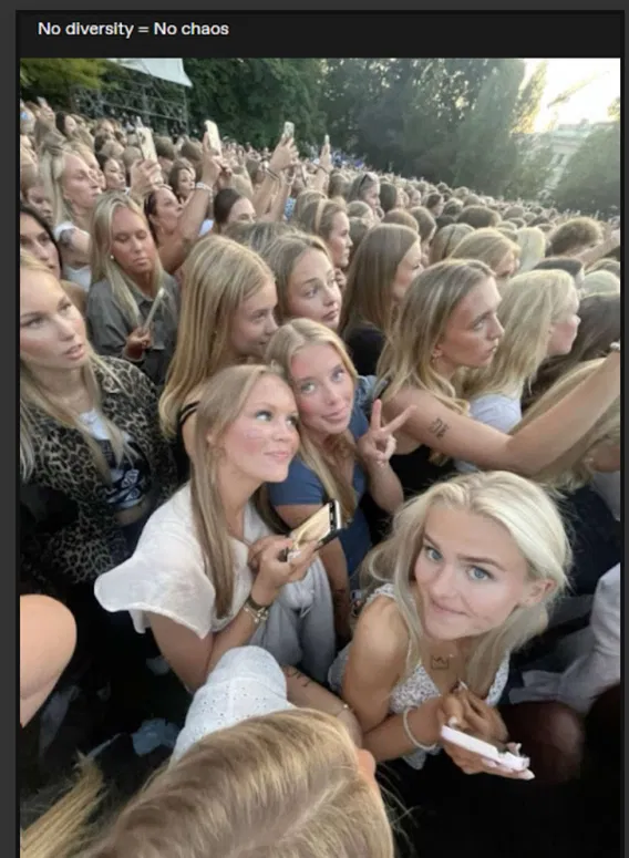 no diversity diversite chaos pas de blondes aryennes