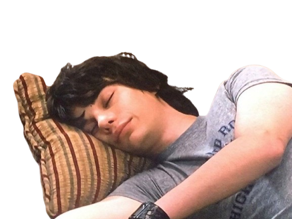 devon bostick acteur canadien le journal dun degonfle rodrick heffley