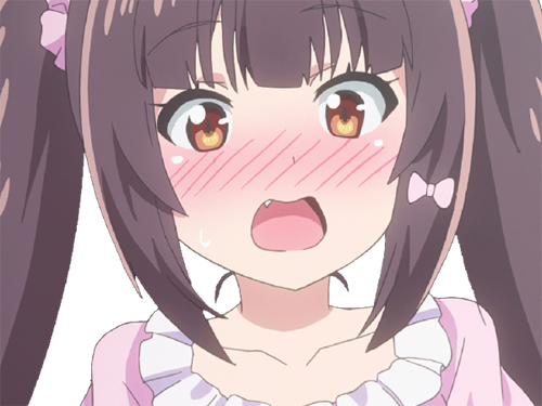 kikoojap kj nekopara neko anime chocolat archives