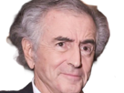 bernard-henri-georges-levy-bhl-ecrivain-philosophe-homme-affaires-chroniqueur-francais-chanceux-septuagenaire-septantaine-cheveuxgris-yeuxmarrons
