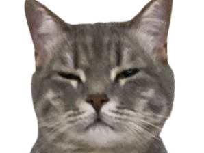 chat gris mignon demon mowgli fic publius publiusovidius boucle ariane