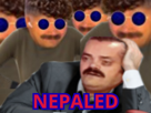 revolution-gen-z-politiques-nepal-nepaled-risitas-cocasse-2000-airpods-undercut-lunettes-bleues-redpill-redpilled