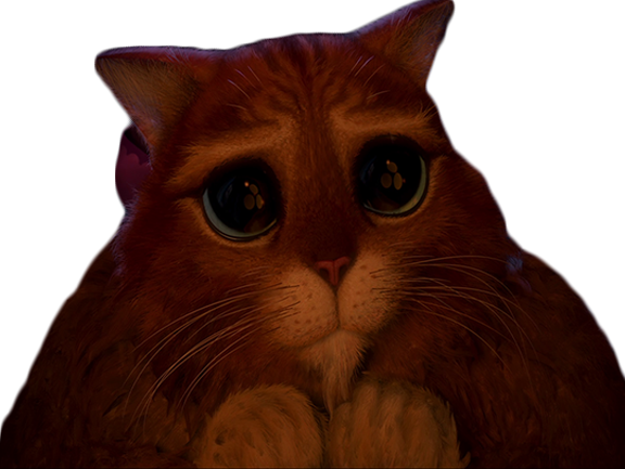 chat potte shrek gros yeux rond pitie