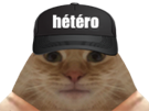chat-hetero-heterosexuel-homosexuel-femboy-tomboy-homo-casquette-bon-client-avortin-gay