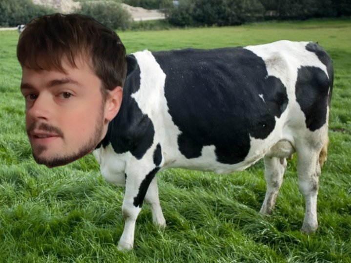 florian vache vached lait moche tete tetedecul