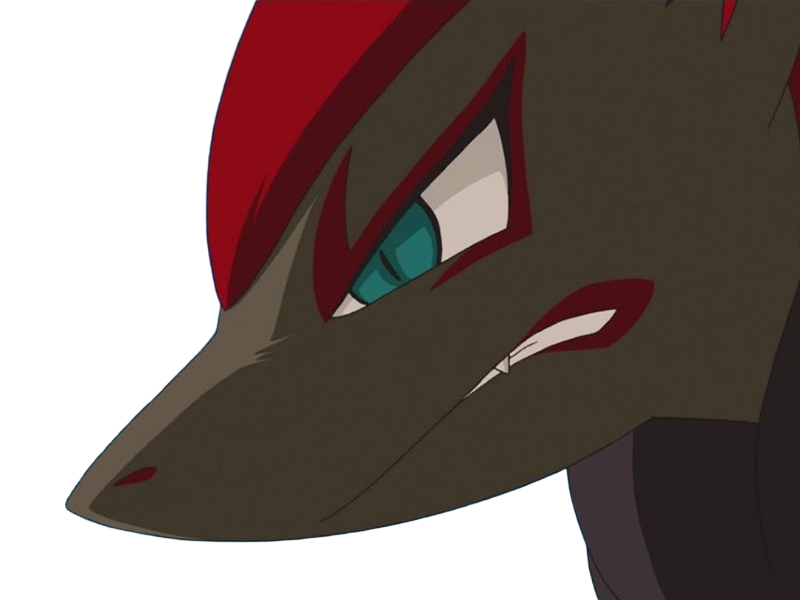 zoroark pokemon pkm jeu anime type tenebres 5g unys polymorfox
