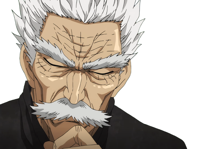 silver fang bang heros one punch man opm vieux anime manga art martiaux maitre badass