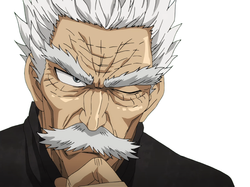 silver fang bang heros one punch man opm vieux anime manga art martiaux maitre badass