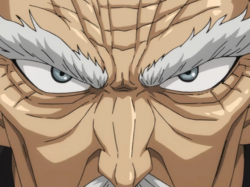 silver fang bang heros one punch man opm vieux anime manga art martiaux maitre badass